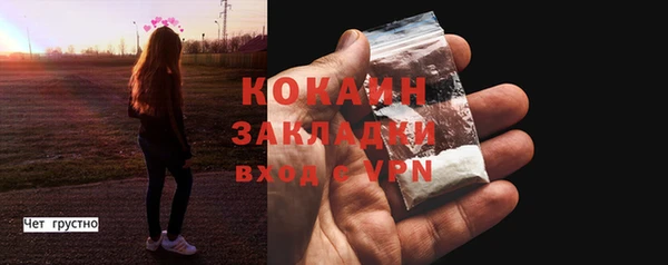 ПСИЛОЦИБИНОВЫЕ ГРИБЫ Михайлов