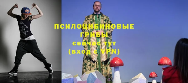 spice Надым