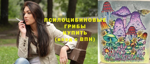 spice Надым
