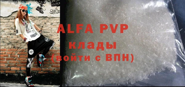 ПСИЛОЦИБИНОВЫЕ ГРИБЫ Михайлов