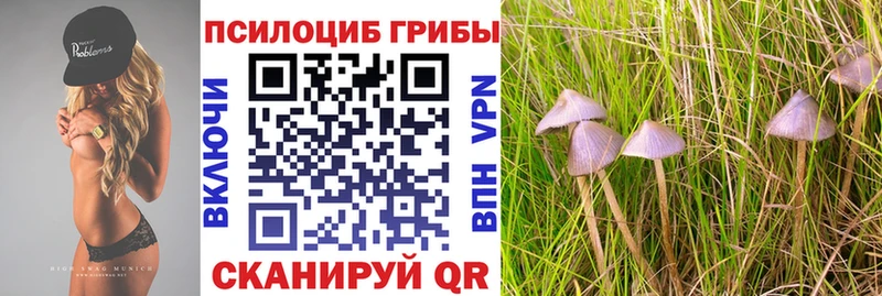 Псилоцибиновые грибы ЛСД  это какой сайт  Приволжск 